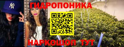 стаф Краснокаменск