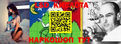 apvp Краснодар