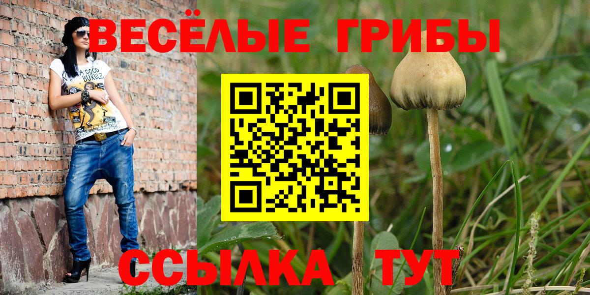 Псилоцибиновые грибы прущие грибы Кириши